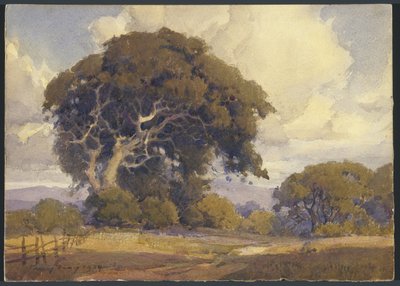 Chêne vieilli - Percy Gray
