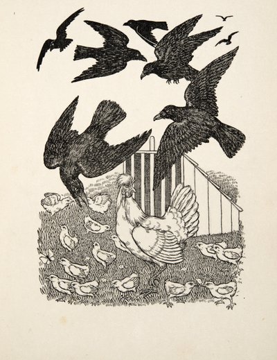 Un corbeau calculateur, de Cent anecdotes d