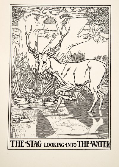 Le Cerf regardant dans l