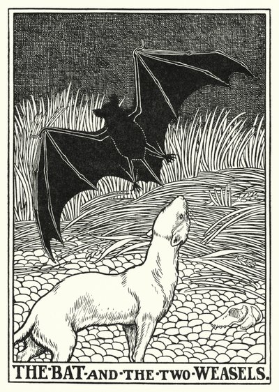 Fables de La Fontaine : La chauve-souris et les deux belettes (lithographie) - Percy James Billinghurst