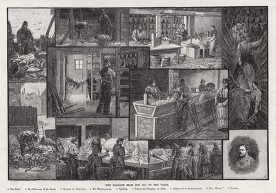Le Haddock de la Mer à la Table - Percy Robert Craft