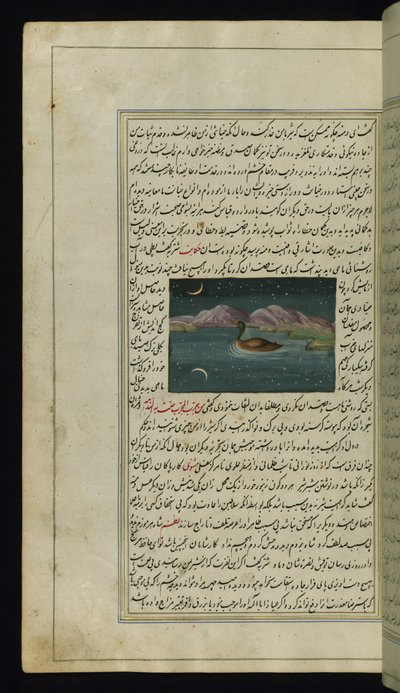Une oie et le reflet de la lune dans l
