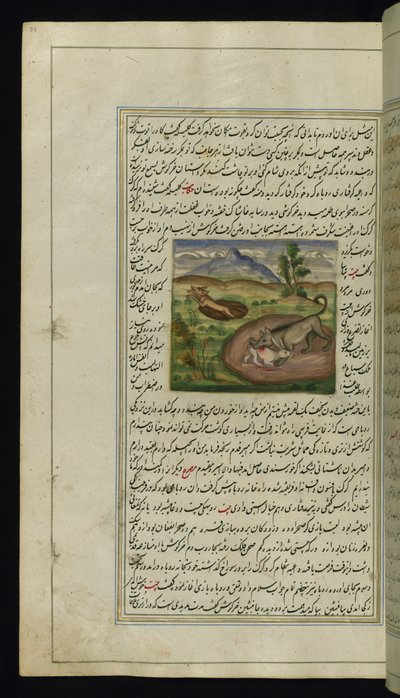 Un chacal dévore un lièvre des Lumières de Canopus, 1847 - Persian School