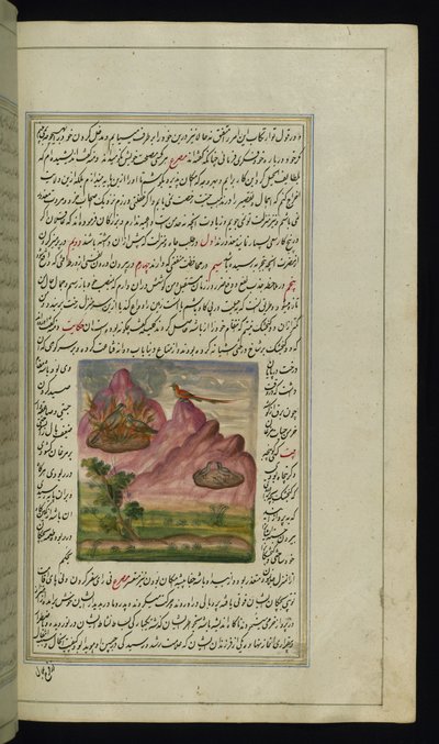 Deux moineaux en feu et un faucon des Lumières de Canopus - Persian School