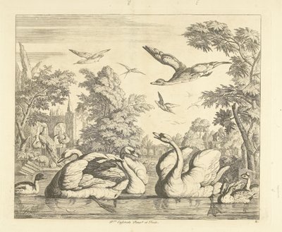 Trois cygnes et autres oiseaux près d