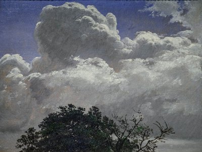 Étude du ciel et de la cime des arbres, vers 1840 (huile sur carton) - Peter Christian Skovgaard