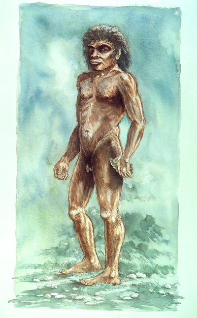 Homme de Boxgrove, préhistorique, 1990-2010 - Peter Dunn