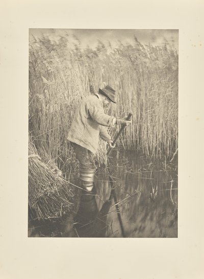  - Peter Henry Emerson