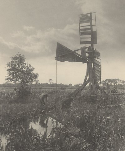 Un moulin à eau en ruine - Peter Henry Emerson