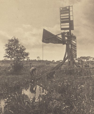  - Peter Henry Emerson