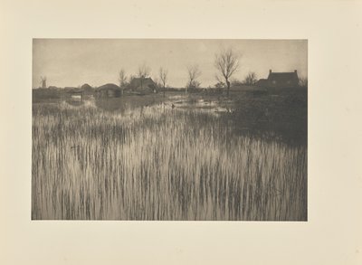 Un rivage rustique - Peter Henry Emerson