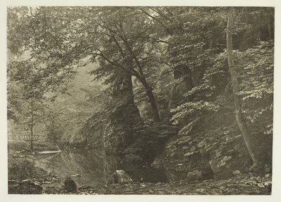 "Pike Pool" (depuis le bas) - Peter Henry Emerson