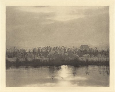 Cristaux de Rime, en ou avant 1895 (photo) - Peter Henry Emerson