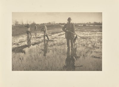  - Peter Henry Emerson