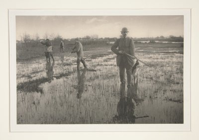  - Peter Henry Emerson