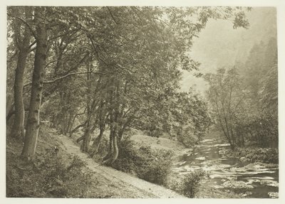 Le sentier du First Brae, Dove Dale - Peter Henry Emerson
