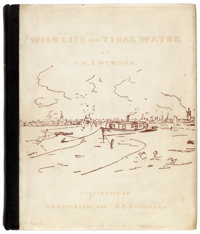 Vie sauvage sur une eau de marée - Peter Henry Emerson, and T.F. Goodall