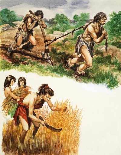 Agriculture de l