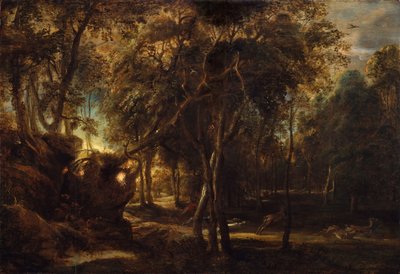 Une forêt à l