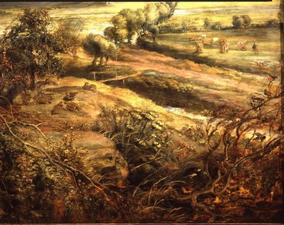 Paysage d
