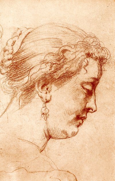 Profil de femme - Peter Paul Rubens