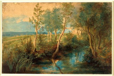 Paysage avec ruisseau sous les arbres - Peter Paul Rubens