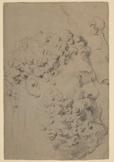 Études de la tête et du profil du Hercule Farnèse vu d
