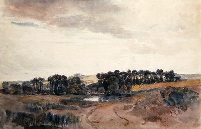 Paysage avec arbres et bovins près d