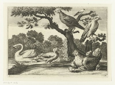 Cygne, poule avec poussins et autres oiseaux (Diversarum avium species, Verschillende vogels) - Peter van Liesebetten
