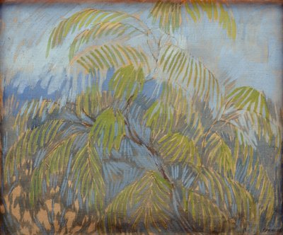 Mimosa - Petr Savvic Utkin
