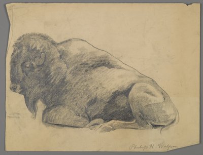 Bison - Philip H. Wolfrom