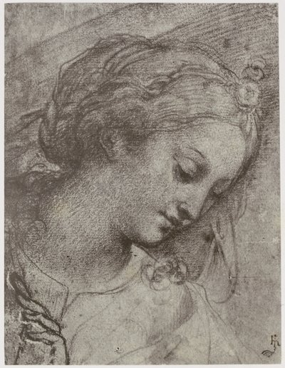 Carlo Dolci, Tête de la Vierge - Philip Henry Delamotte