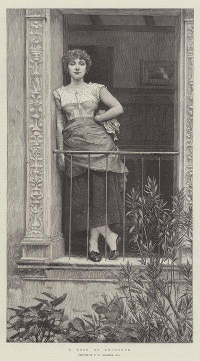 Une rose de Provence - Philip Hermogenes Calderon
