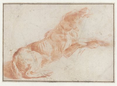 Chien couché - Philips Wouwerman (possibly)