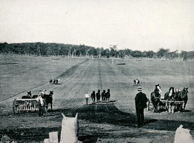 Apprentissage du forage et du roulage au Dookie Agricultural College, Victoria, vers 1900, de 