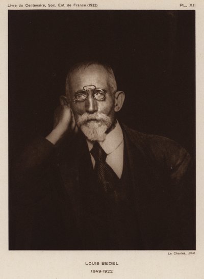 Ernest Marie Louis Bedel, entomologiste français - Photographer French