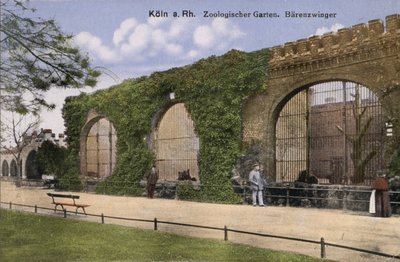 Zoo de Cologne, Ours (photo) - Photographer German