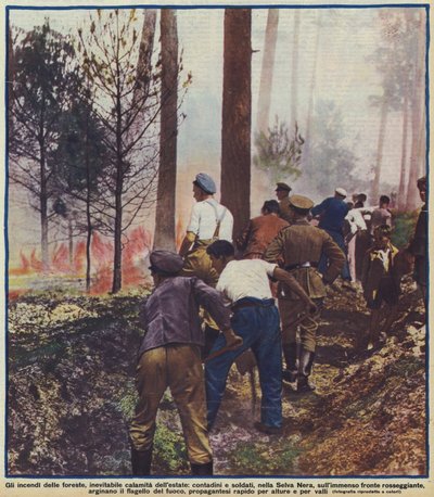 Paysans et soldats combattant un incendie de forêt dans la Forêt-Noire, Allemagne - Photographer German
