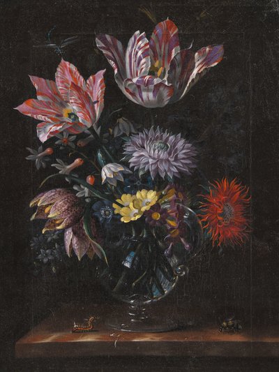 Inconnu, par Jacob Marrel - Pictufy
