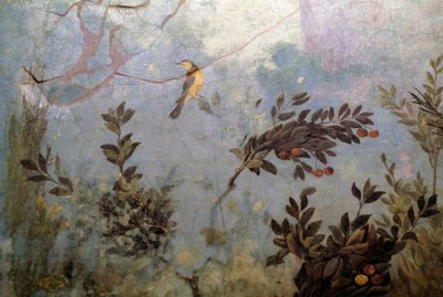 Oiseau, détail d