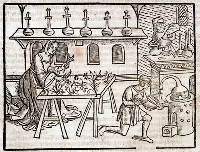 Médecine par les plantes et leurs vertus - dans « Des profits champêtres et ruraux » par Pierre de Crescent, Paris - Piero da Crescentino