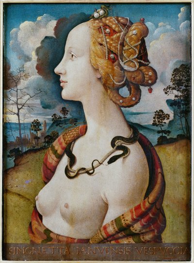 Portrait de femme dit de Simonetta Vespucci - Piero di Cosimo