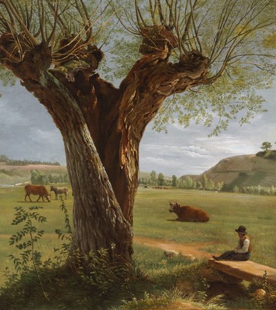 Saule têtard, après 1804 - Pierre Jean Boquet