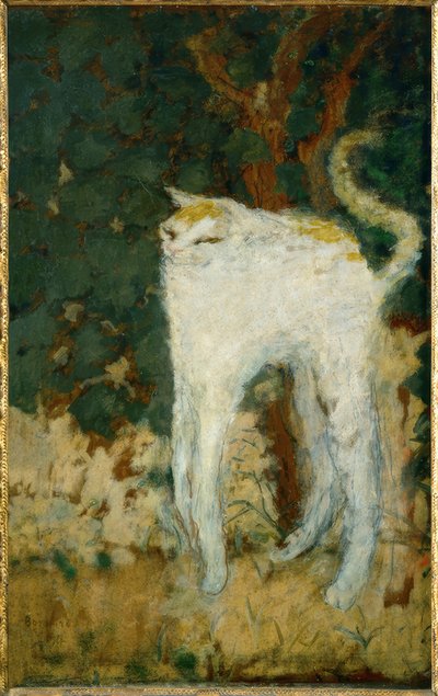 Le chat blanc - Pierre Bonnard