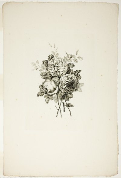 Bouquet avec Roses, de la Collection de Différents Bouquets de Fleurs, Inventés et Dessinés par Jean Pillement et Gravés par P. C. Canot - Pierre Charles Canot