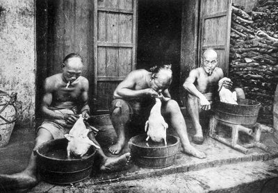 Plumes de canard chinois, "Saigon et ses environs", phot. Dieulefils, c. 1900 - Pierre Dieulefils
