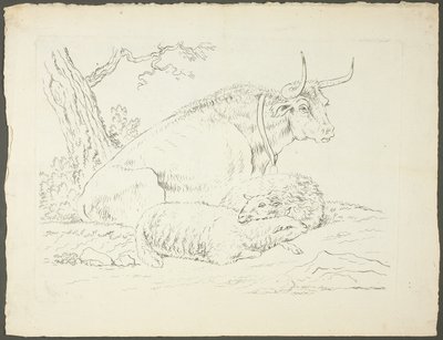 Un taureau et deux moutons - Pierre Lelu