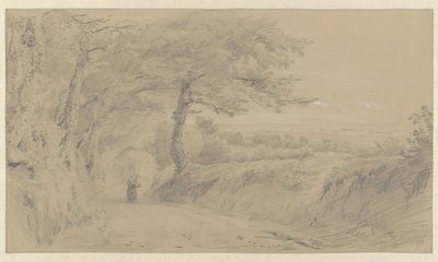 Paysage à Jersey - Pierre Louis Dubourcq
