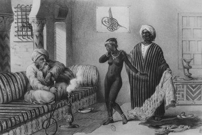 Une jeune fille de Tombouctou offerte par un maître esclave à Tripoli en 1854, de "Voyages au Soudan et dans l