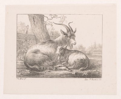 Bouquetin et chèvre dans un paysage - Pieter Bartholomeusz. Barbiers